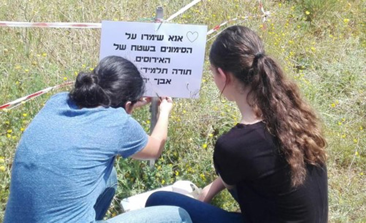 שילוט