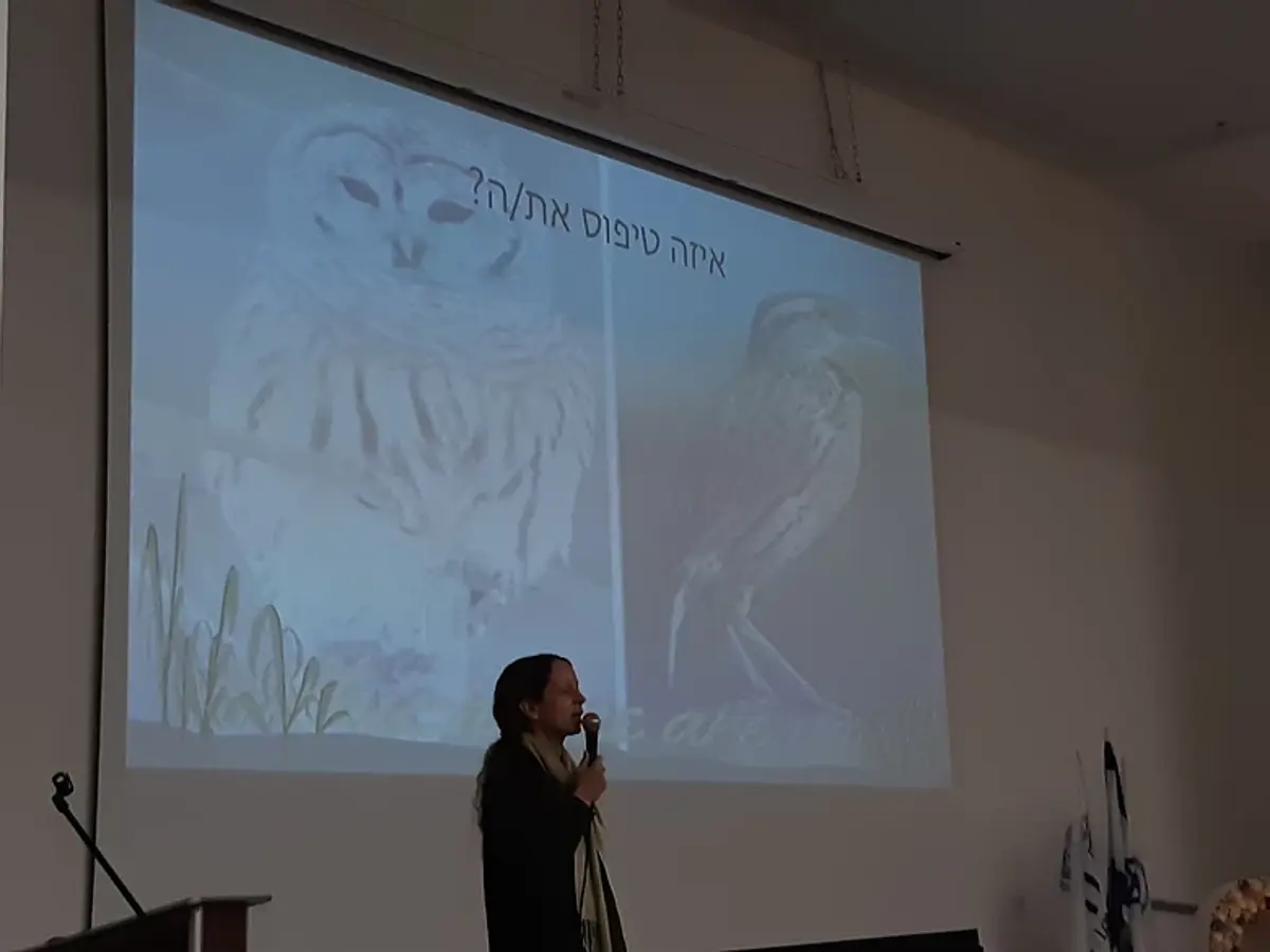 shena1.jpg
