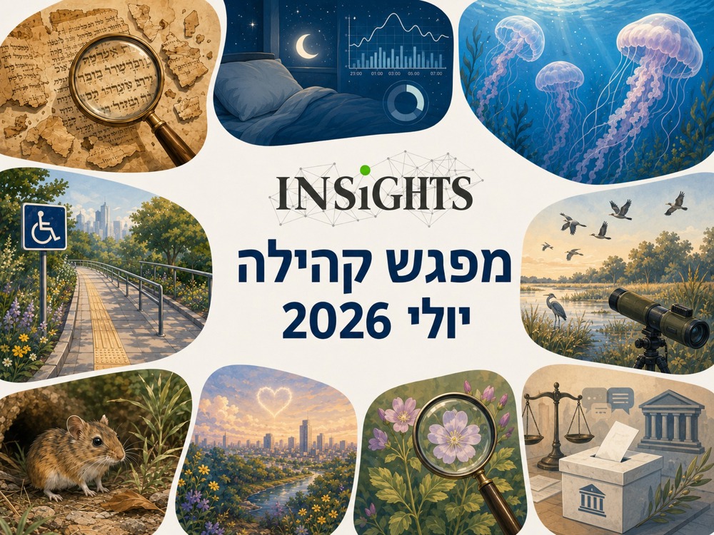story image