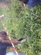 20190207 141611